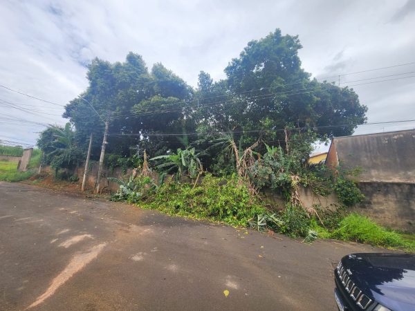 Terrenos a Venda na Vila Conceição