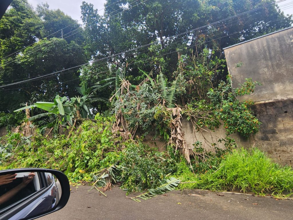 Terrenos a Venda na Vila Conceição