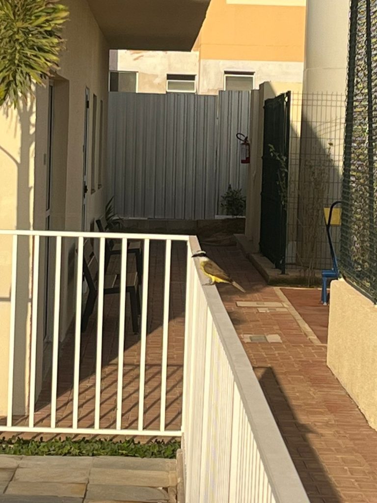 Apartamento à Venda no Sim Boa Vista